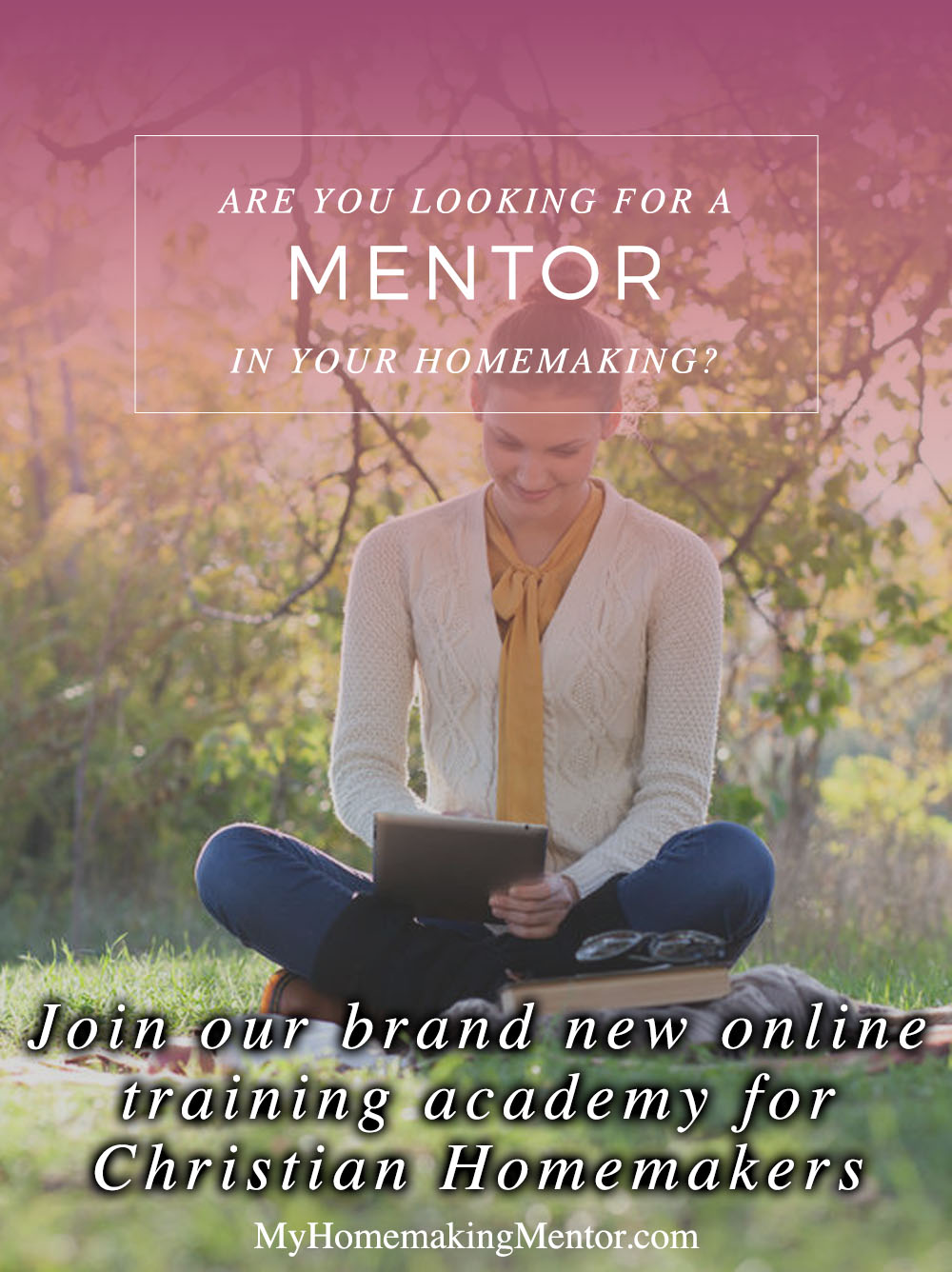 Are you looking for a mentor?