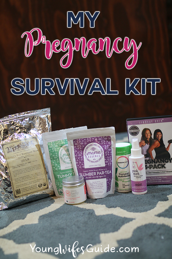 my-pregnancy-survival-kit