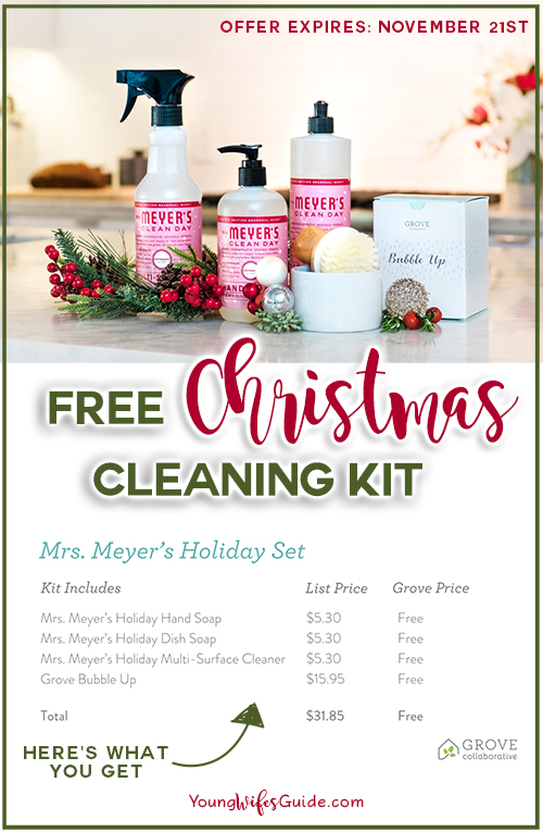 Sign up to get the FREE Christmas Cleaning Kit from Gove!! 